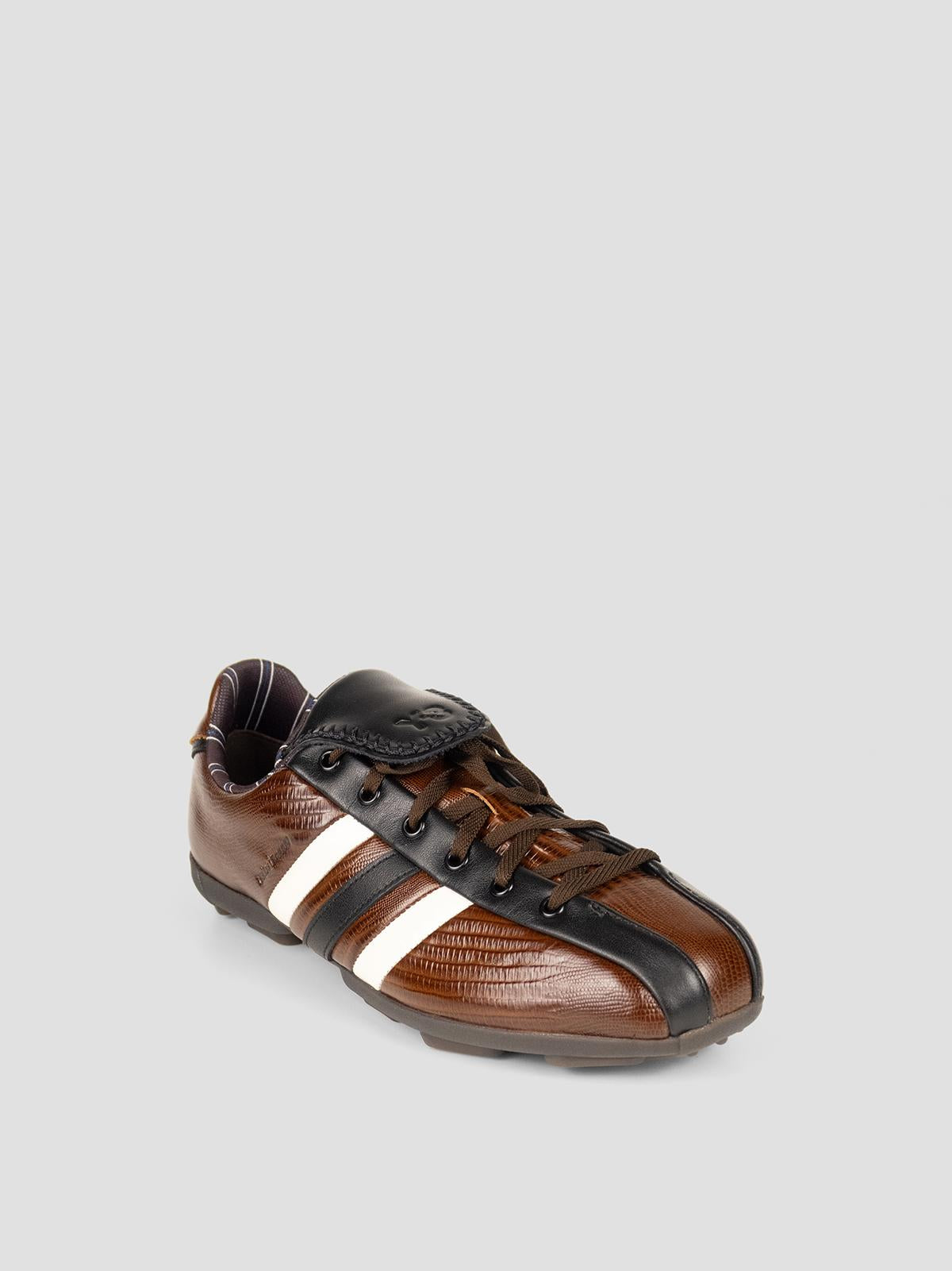 Wb y-3 the field lizzard