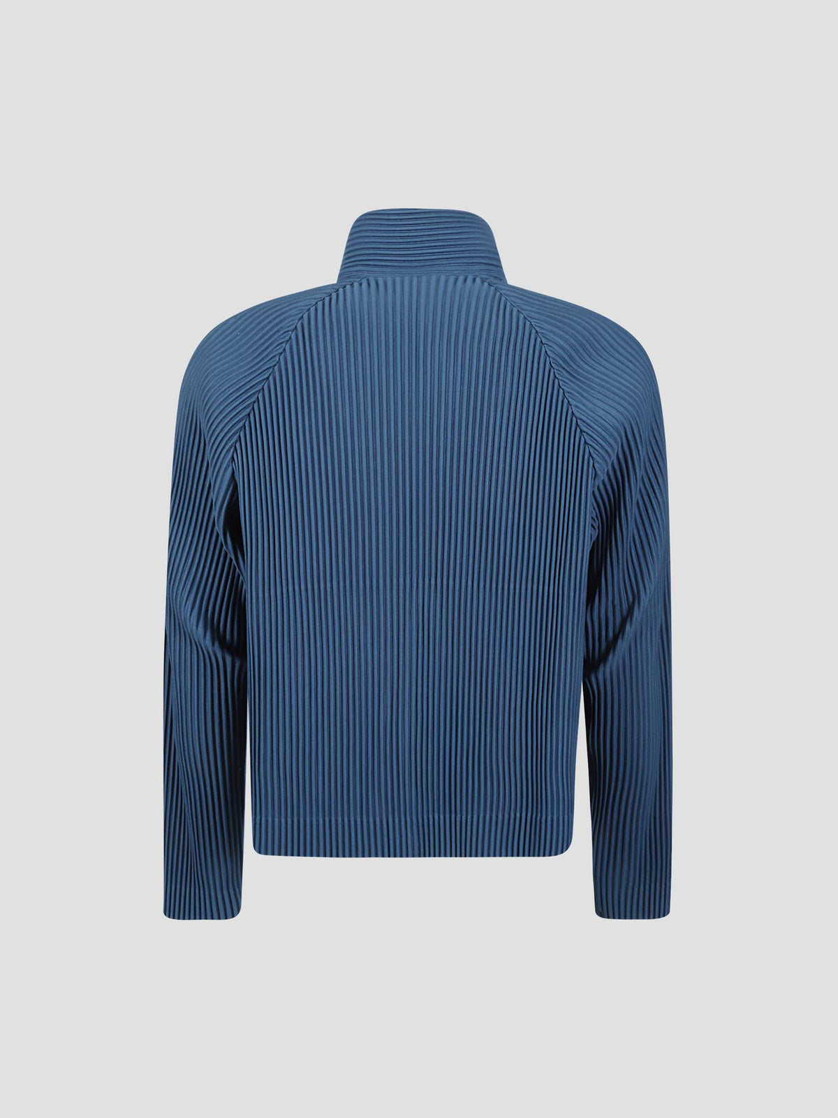 Tailored pleats 1 raglan jacket