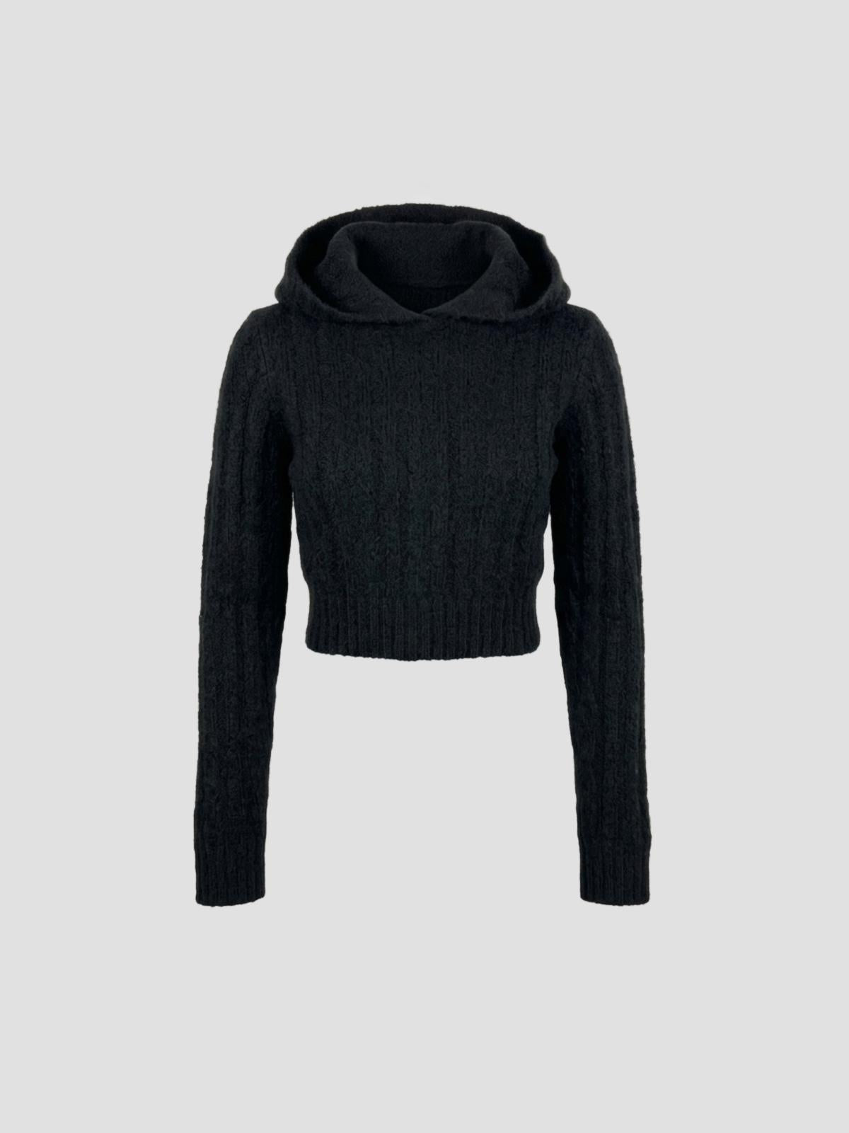Ls cropped hooded top