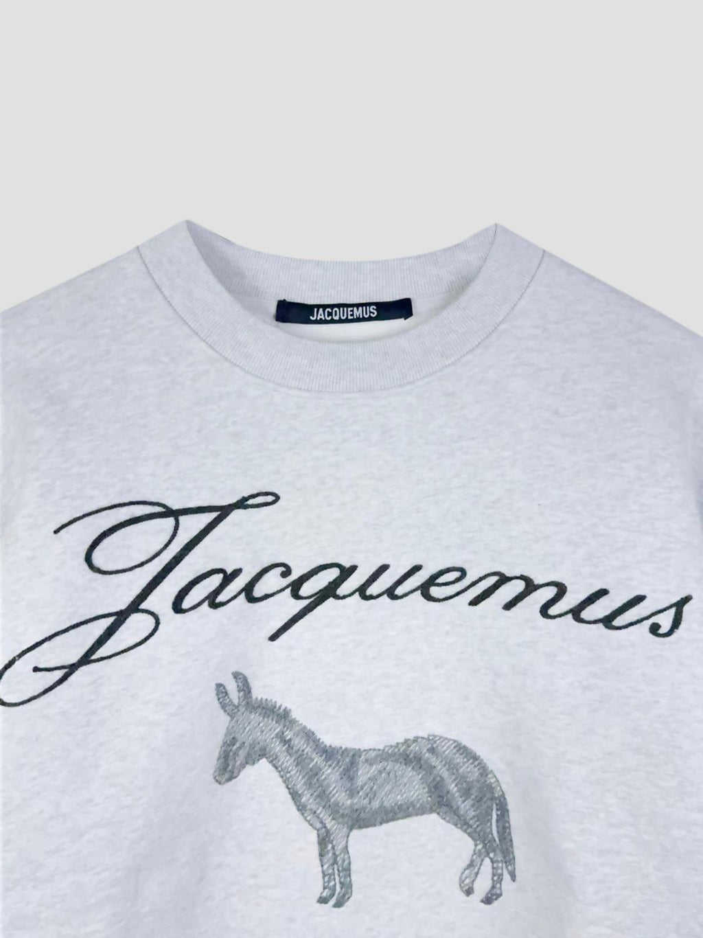 Le sweatshirt ane