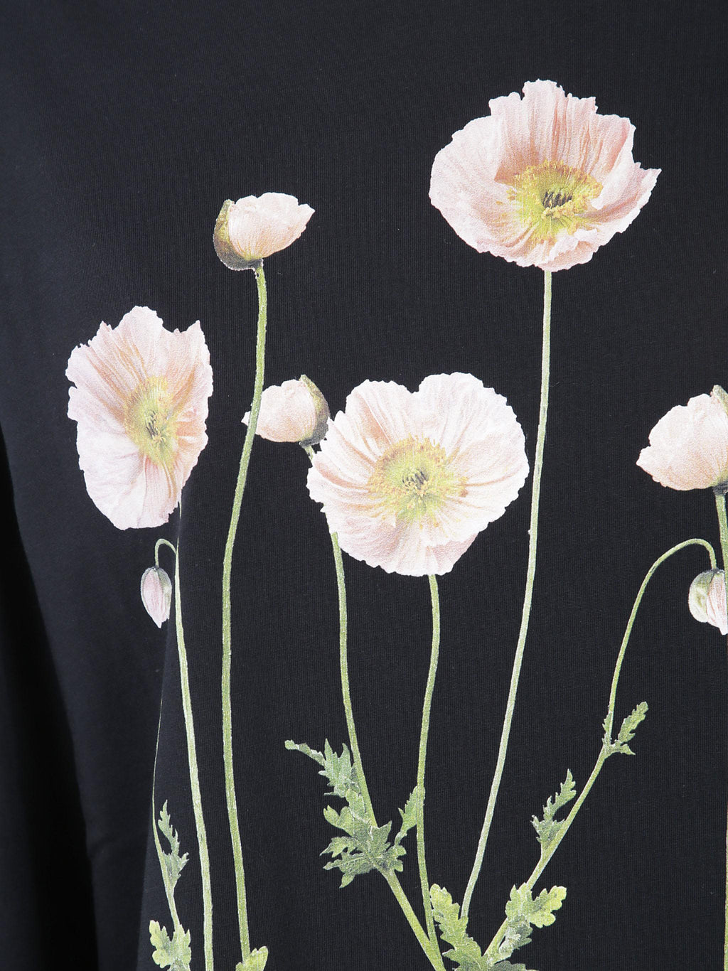 Poppy field print long sleeve t-shirt