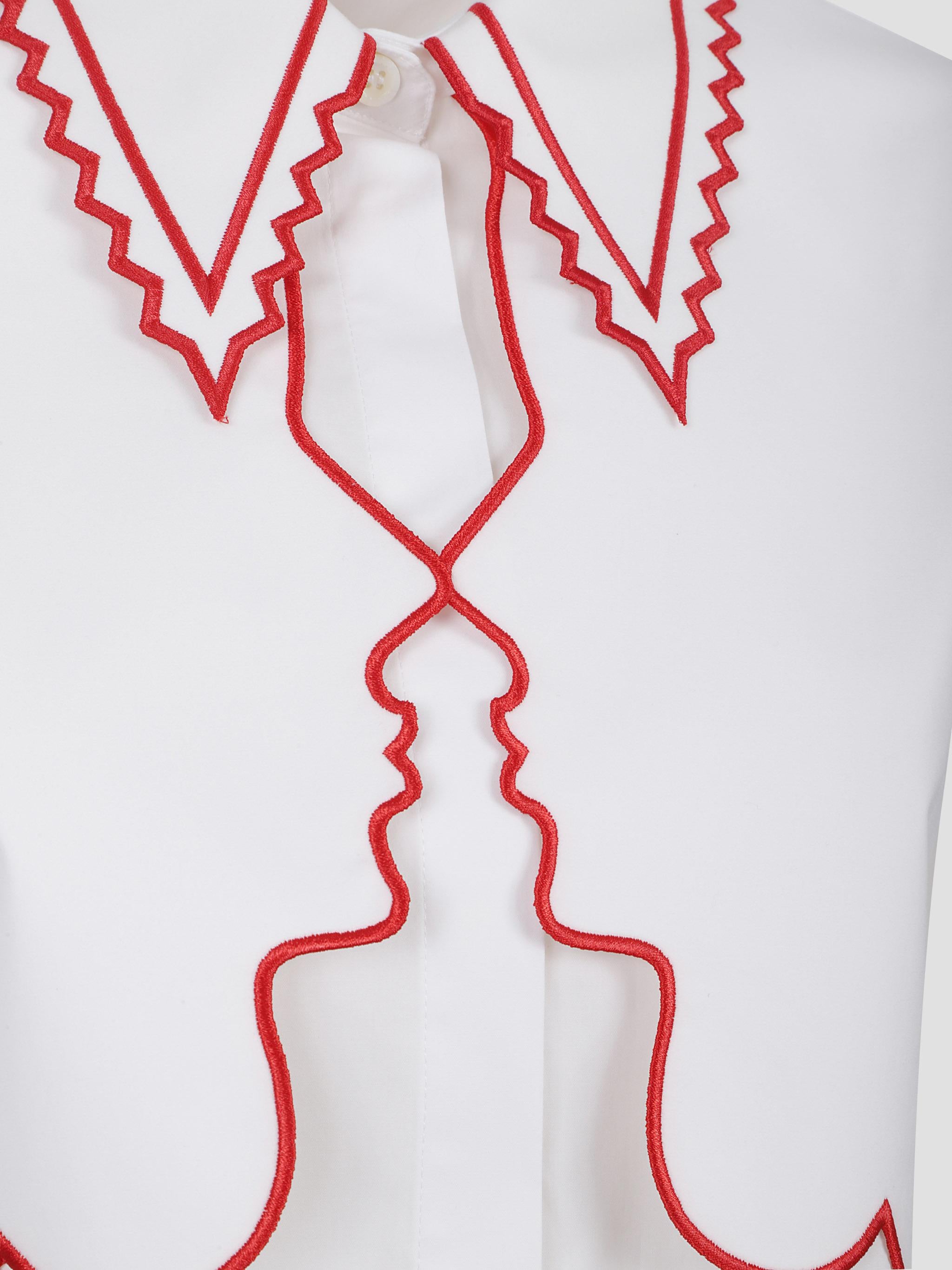 Shirt with embroidery
