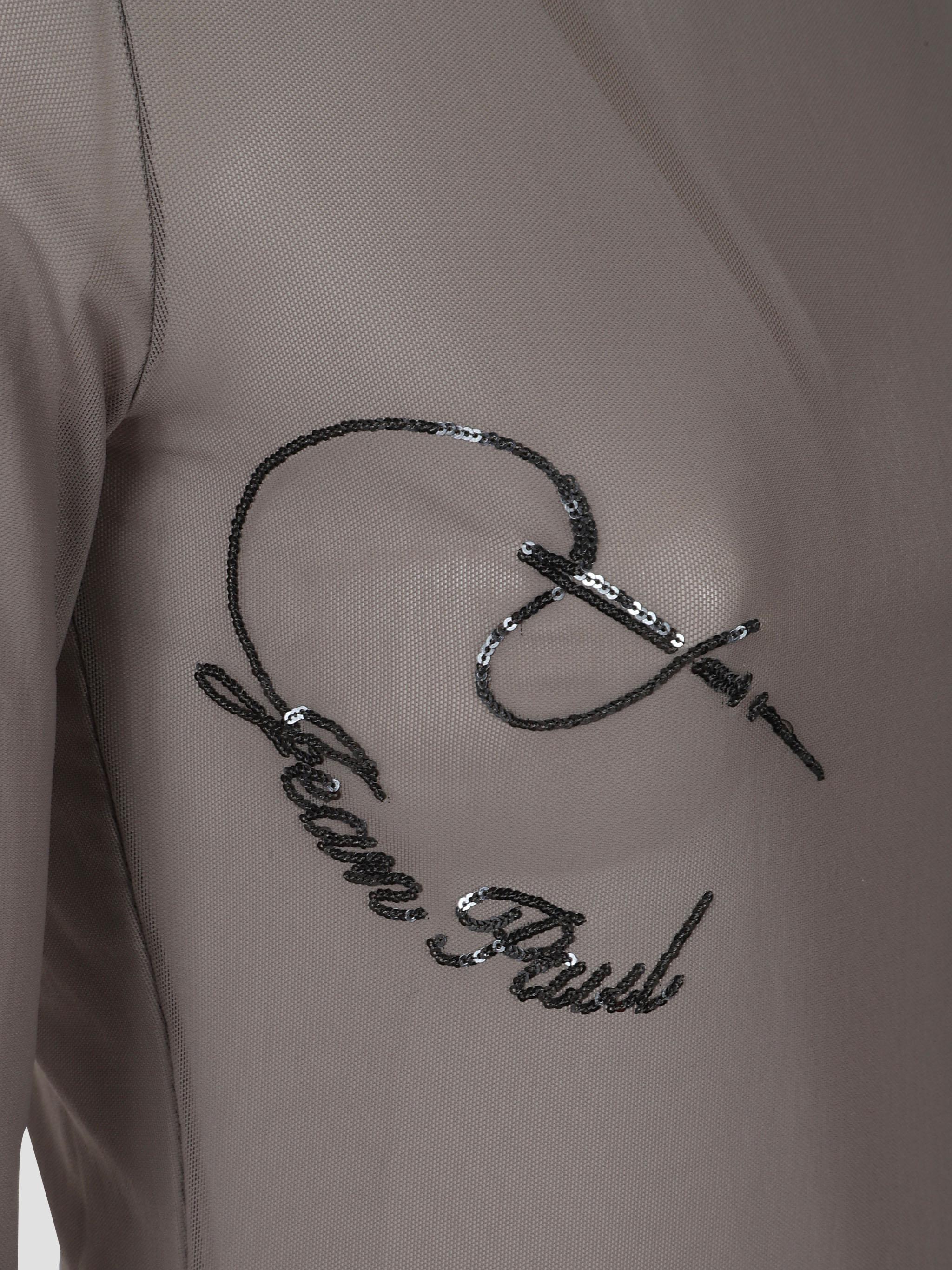 Mesh crewneck long sleeves top embroidered