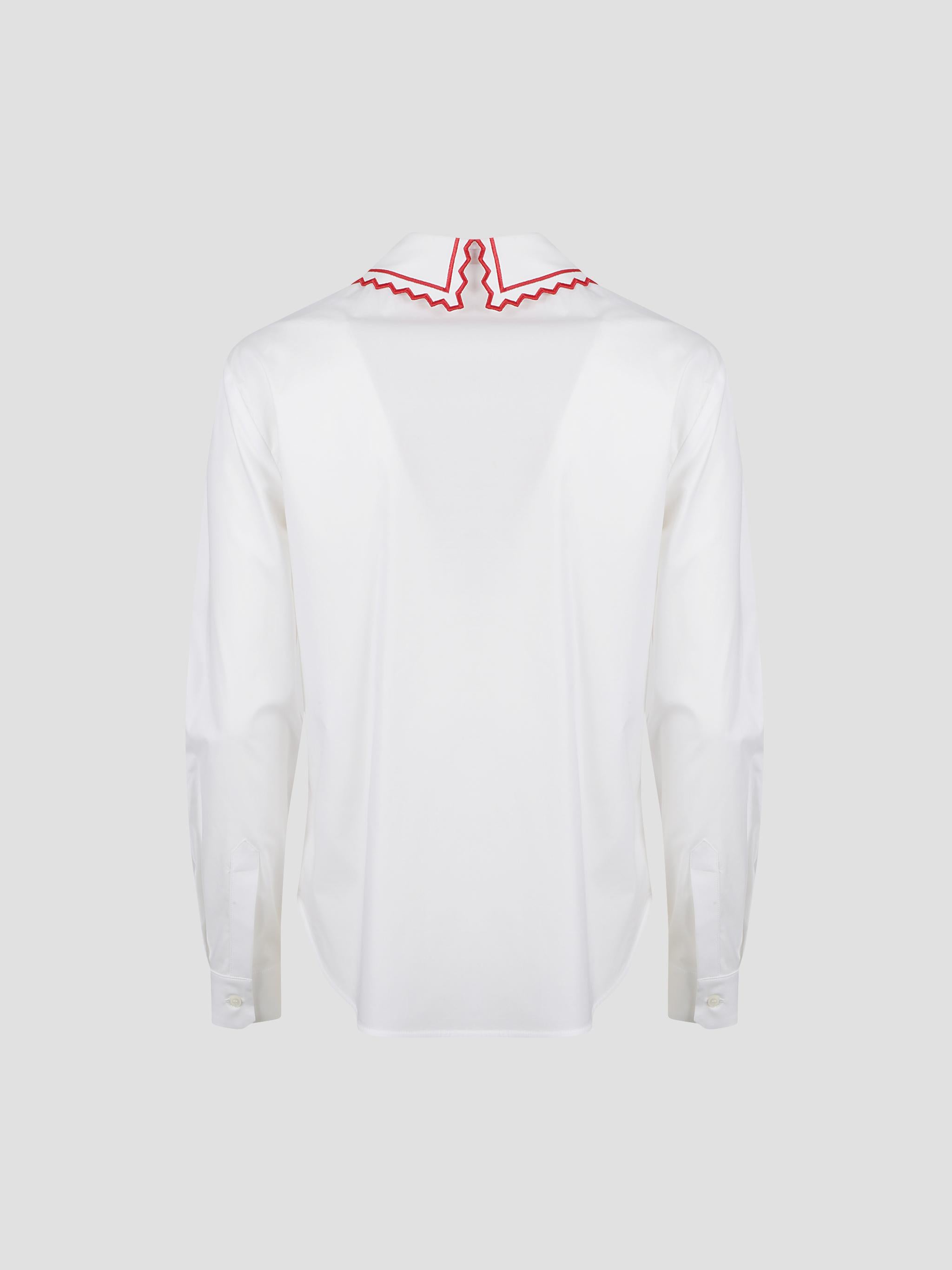 Shirt with embroidery