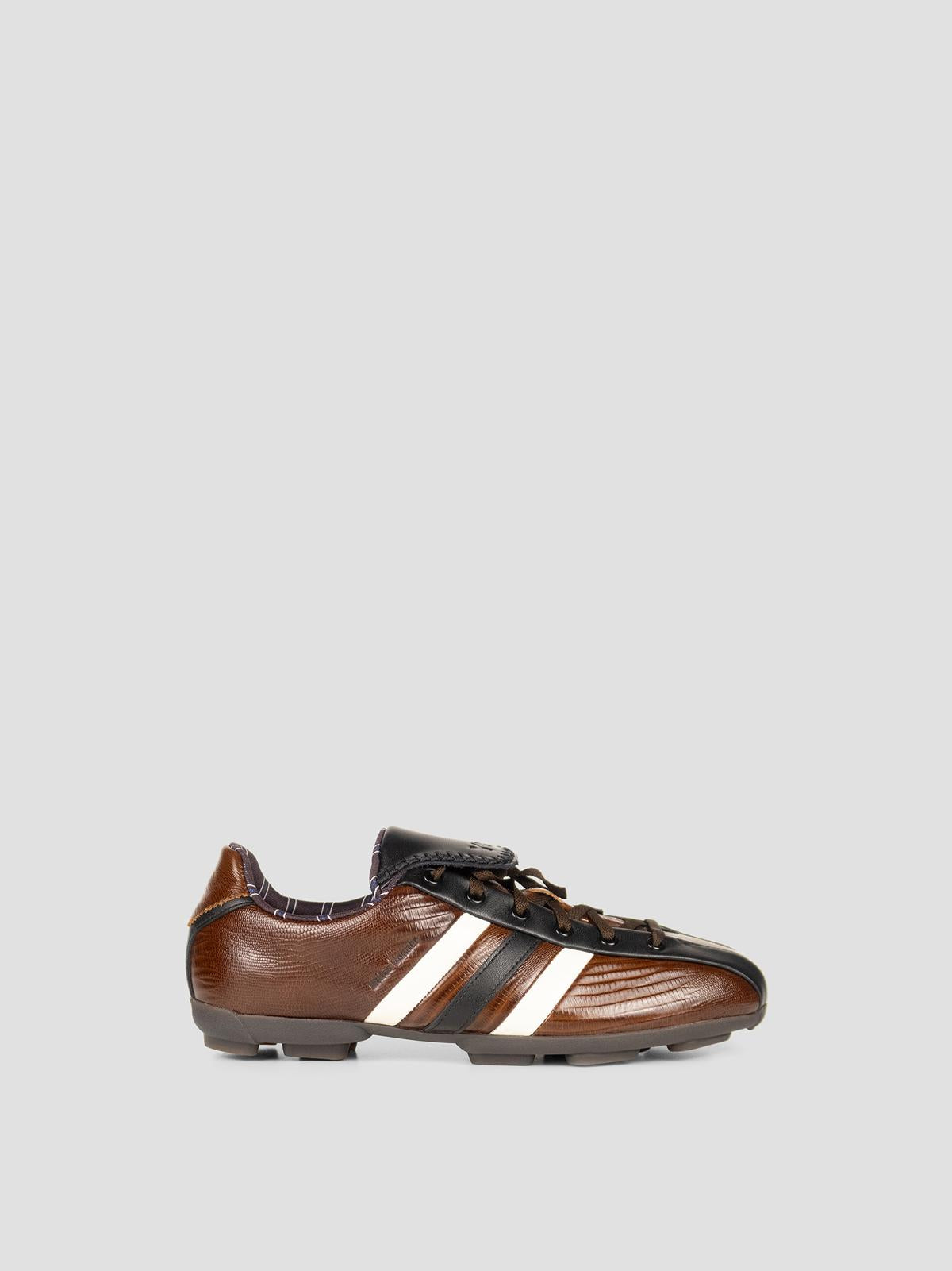 Wb y-3 the field lizzard