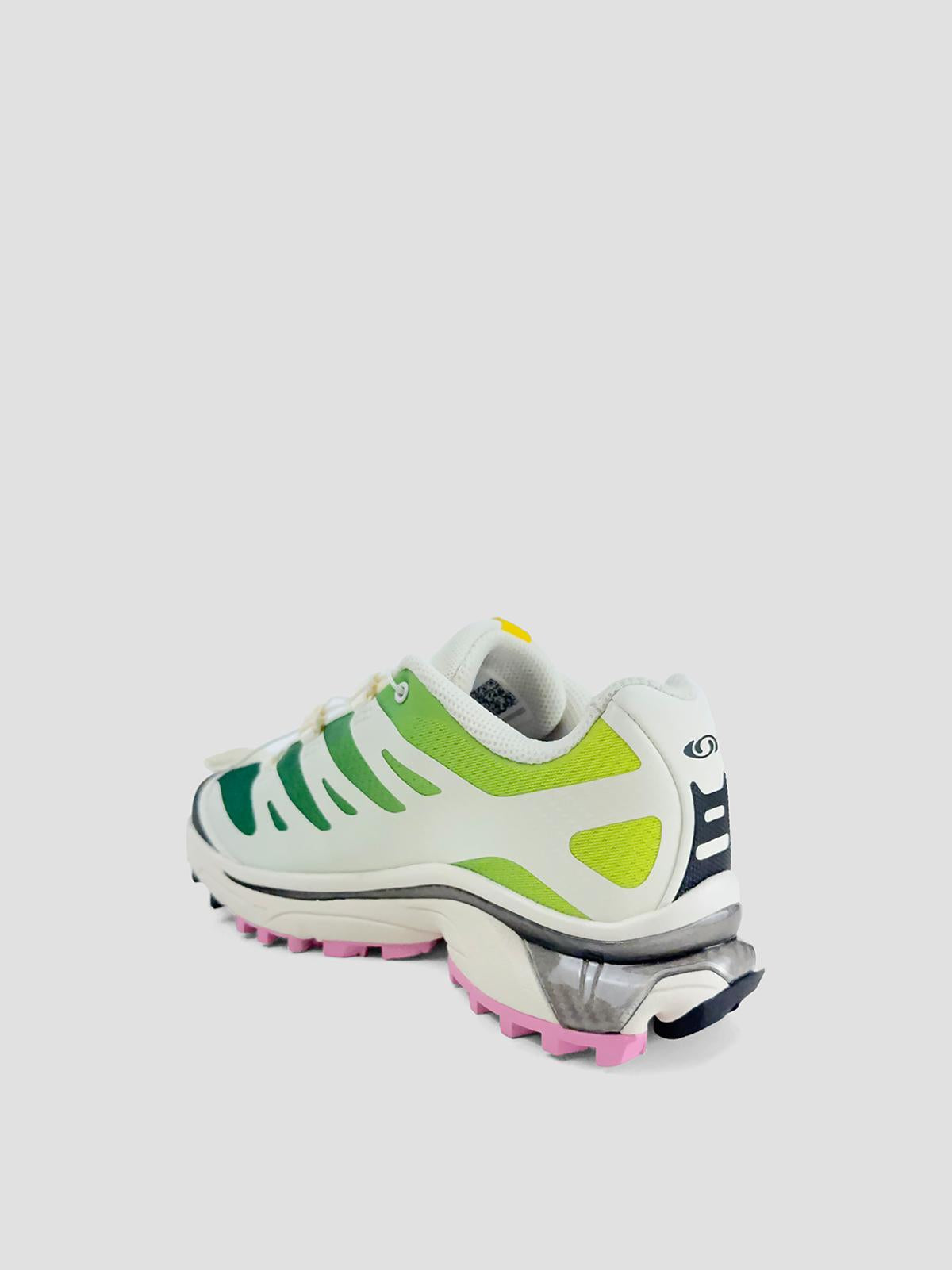Shoes xt-4 og