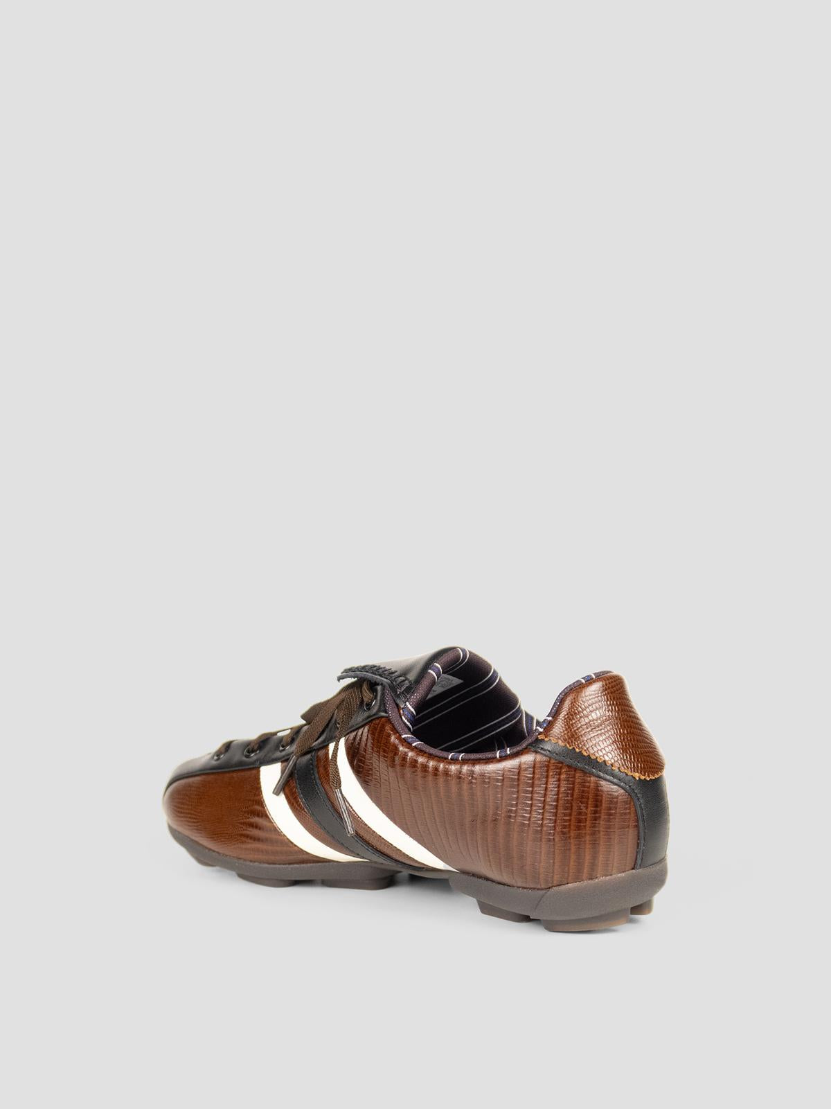 Wb y-3 the field lizzard